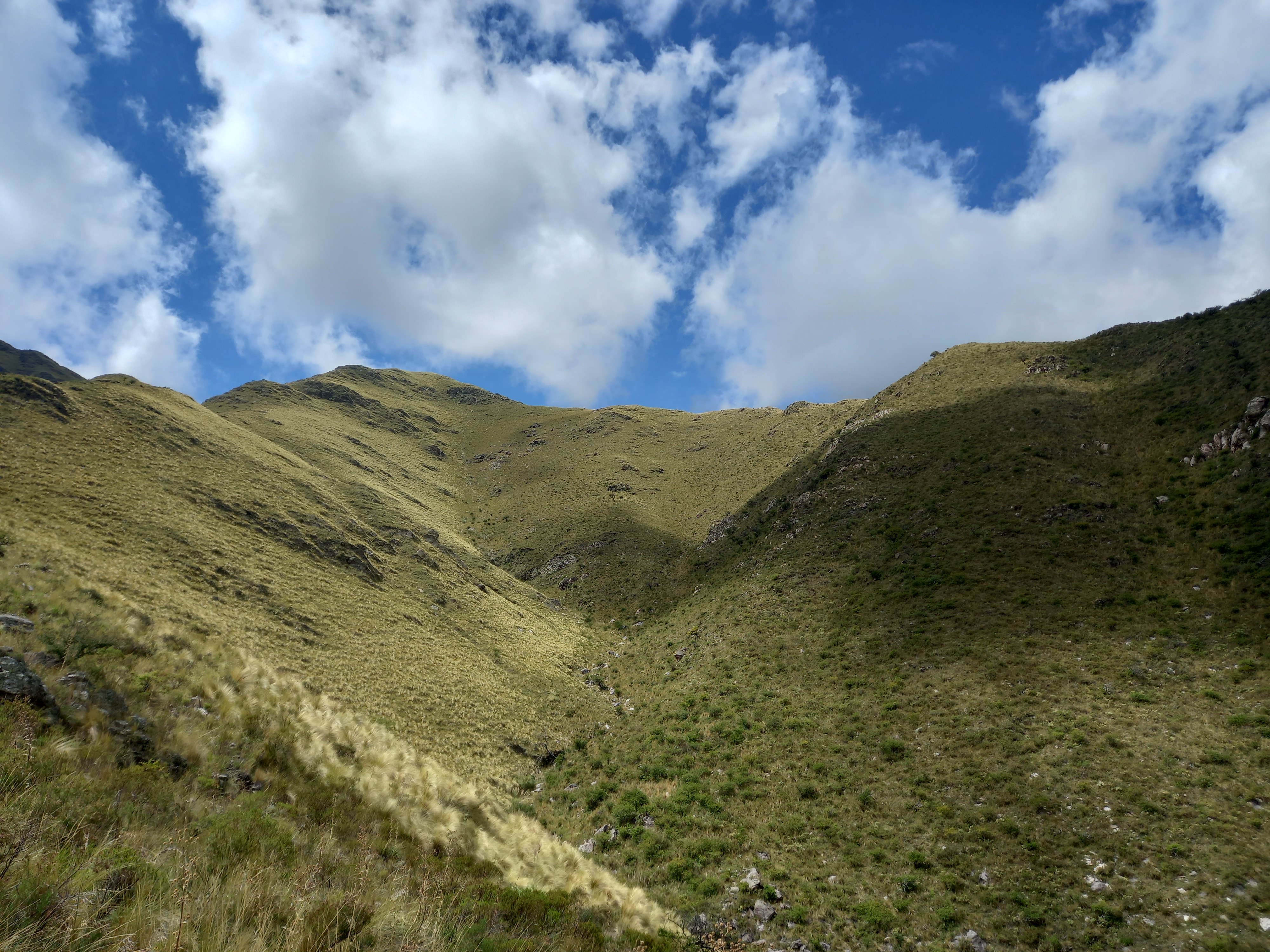 Rincón del Este gallery image 7